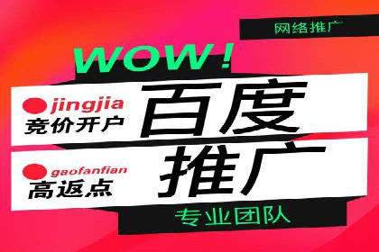 百度搜索推广案例分享：助力企业快速崛起